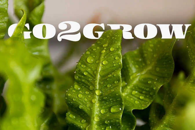 Интернет-магазин гидропоники Go2grow.ru