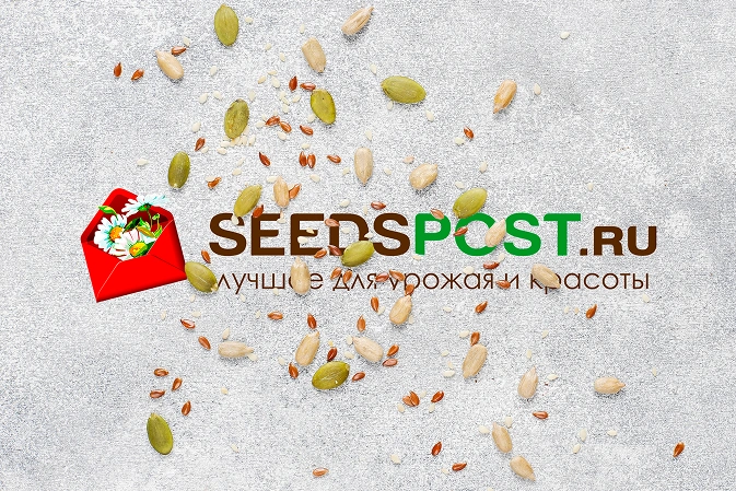 Техническая поддержка сайта seedspost.ru