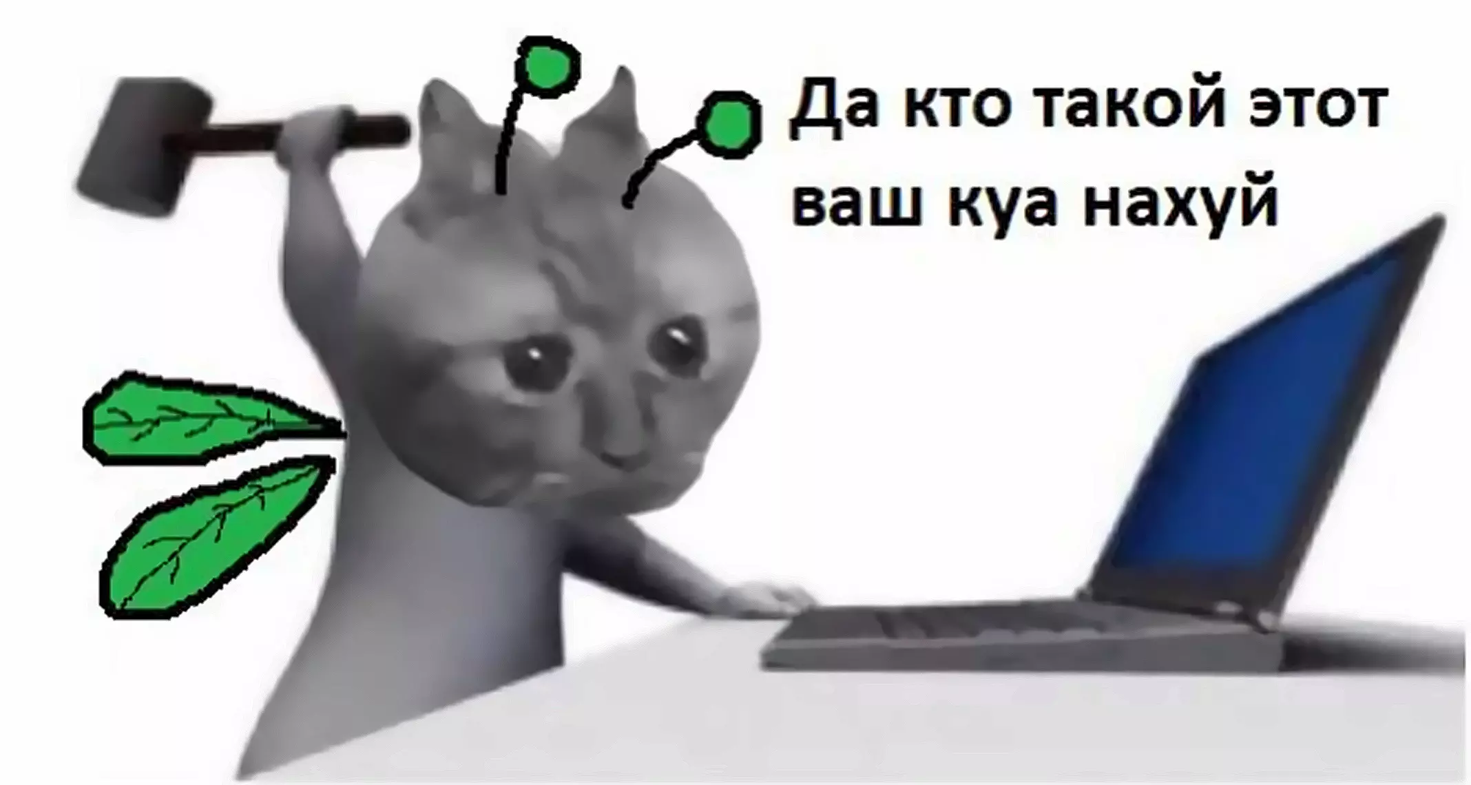 Одностраничный сайт