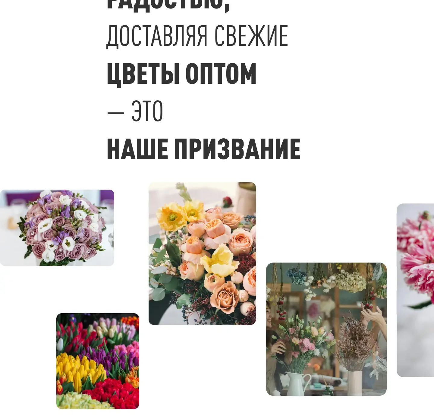 Блок миссии на лендинге azaliaopt.ru: крупная фраза и лента фотографий букетов