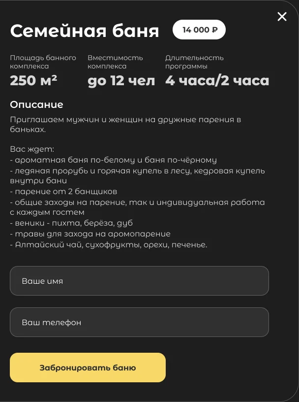 Окно программы «Семейная баня» на компьютере: название, цена, площадь, вместимость, длительность, описание, два поля и кнопка «Забронировать баню»
