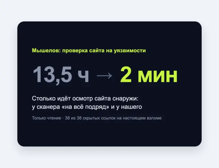 Сканер уязвимостей сайта «Мышелов»: свой сервис за две недели