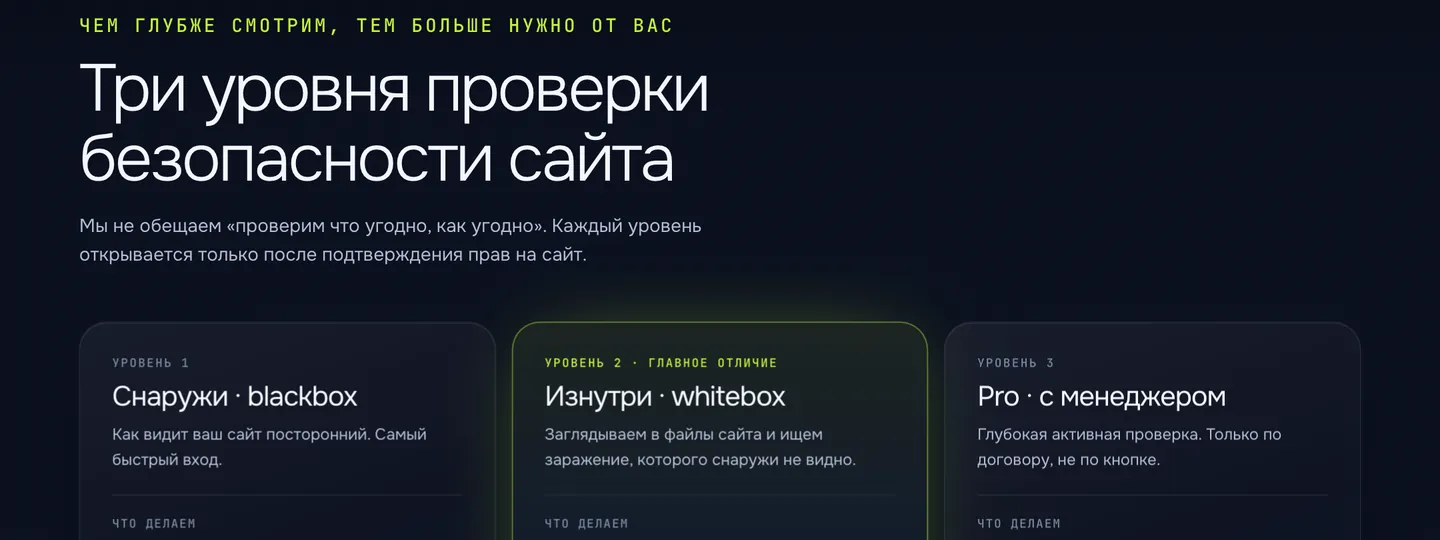 Три уровня проверки в сервисе Мышелов: снаружи, изнутри по доступу только на чтение и глубокая проверка с менеджером